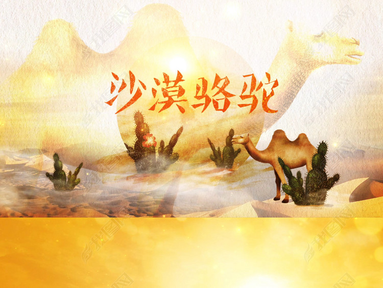 沙漠骆驼配乐视频模板素材_高清MP4格式下载