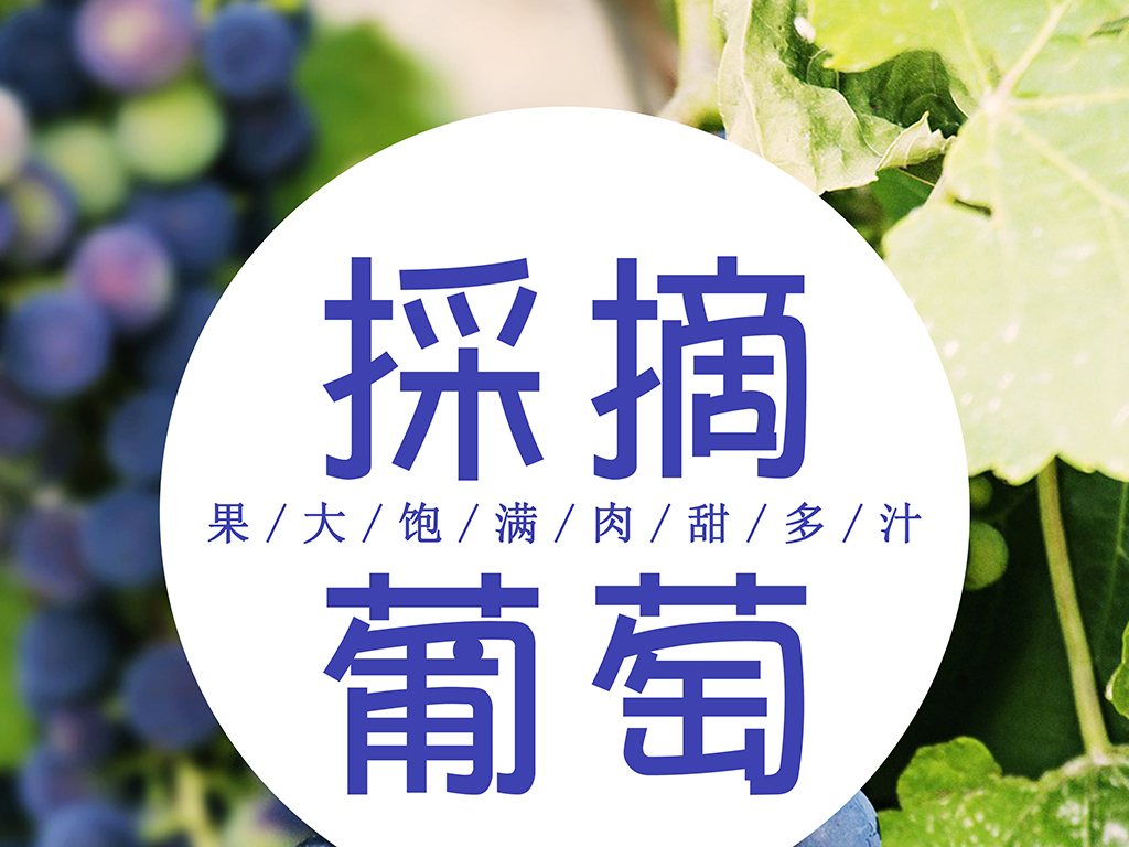 葡萄招聘_苹果招聘海报psd