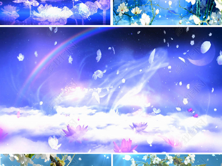 古风舞蹈梨花落表演背景视频梨花落视频素材