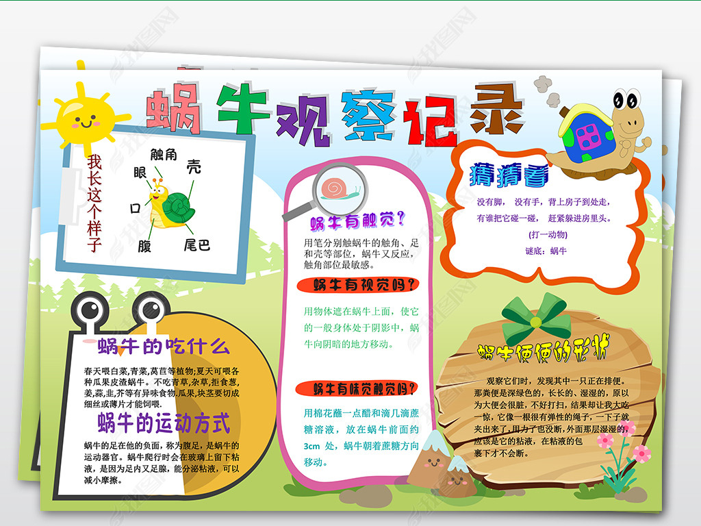原创黑白线条涂色蜗牛观察日记科学科普生物试验手抄报小报版权可商用