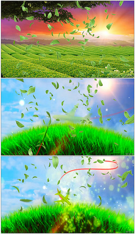 青青世界简谱_青青世界简谱歌谱