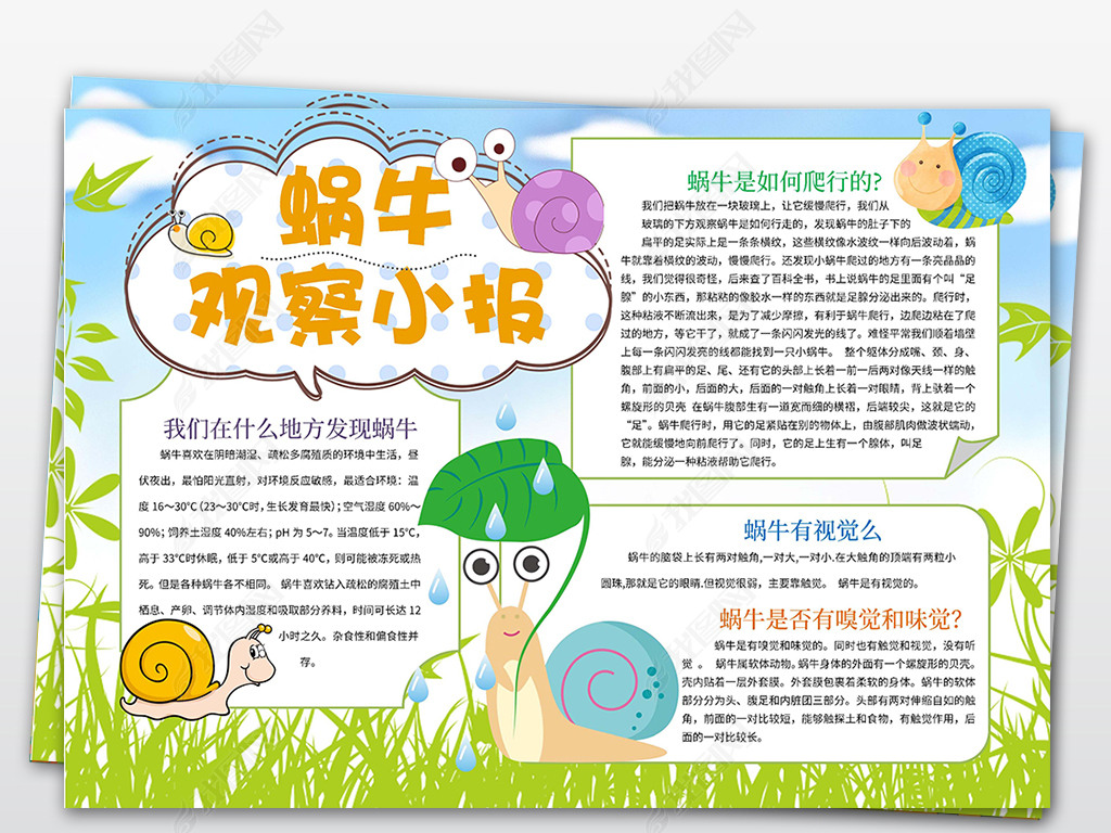 word蜗牛观察日记动物小报