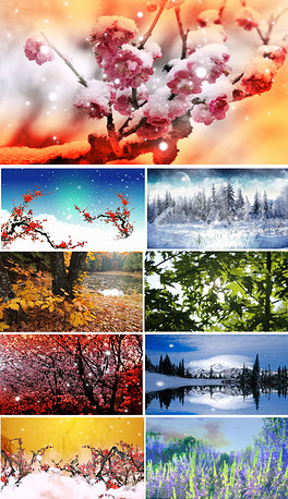 简谱又见北风吹_北风吹简谱(2)