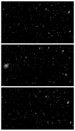 带通道唯美下雪雪花飘落视频素材