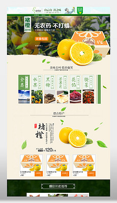 招聘水果_水果店招聘(2)