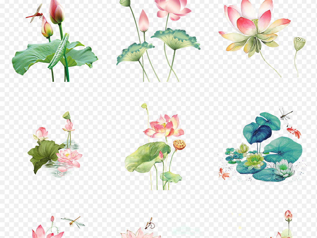 手绘水墨荷花荷叶海报素材背景图片PNG免抠