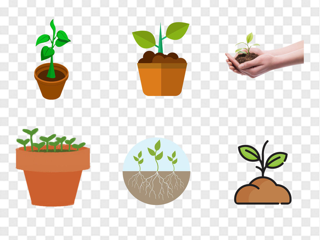 简洁创意春季卡通手绘绿色种子发芽小草树苗免扣PPT展板海报素材背景图片PNG