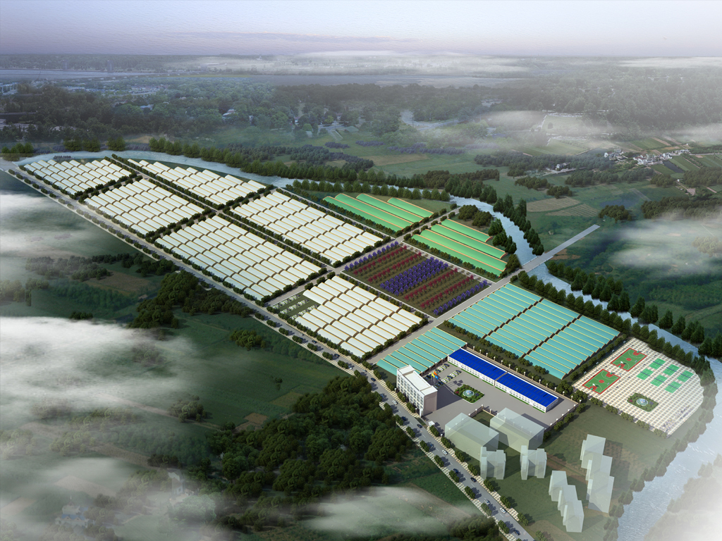 蘑菇种植基地大棚鸟瞰图设计含PS源文件