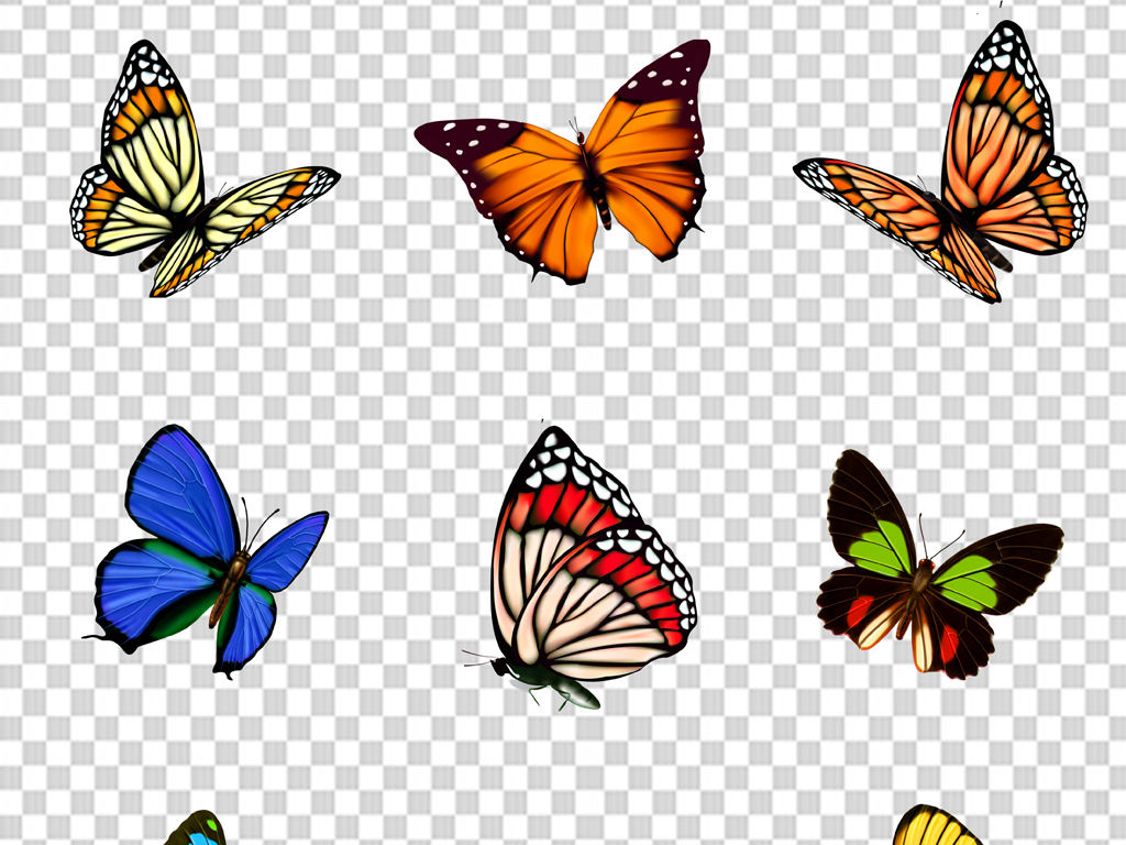 蝴蝶图片大全真实 19141524-c6b1b30cae01bee6f331d4cb526b20bd-0.jpg