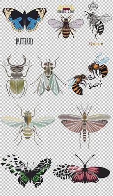 手 密蜂蝴蝶猜一成语_蝴蝶简笔画