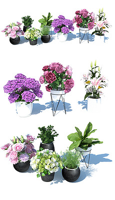 盆栽花卉图片大全集 230x399a0a0