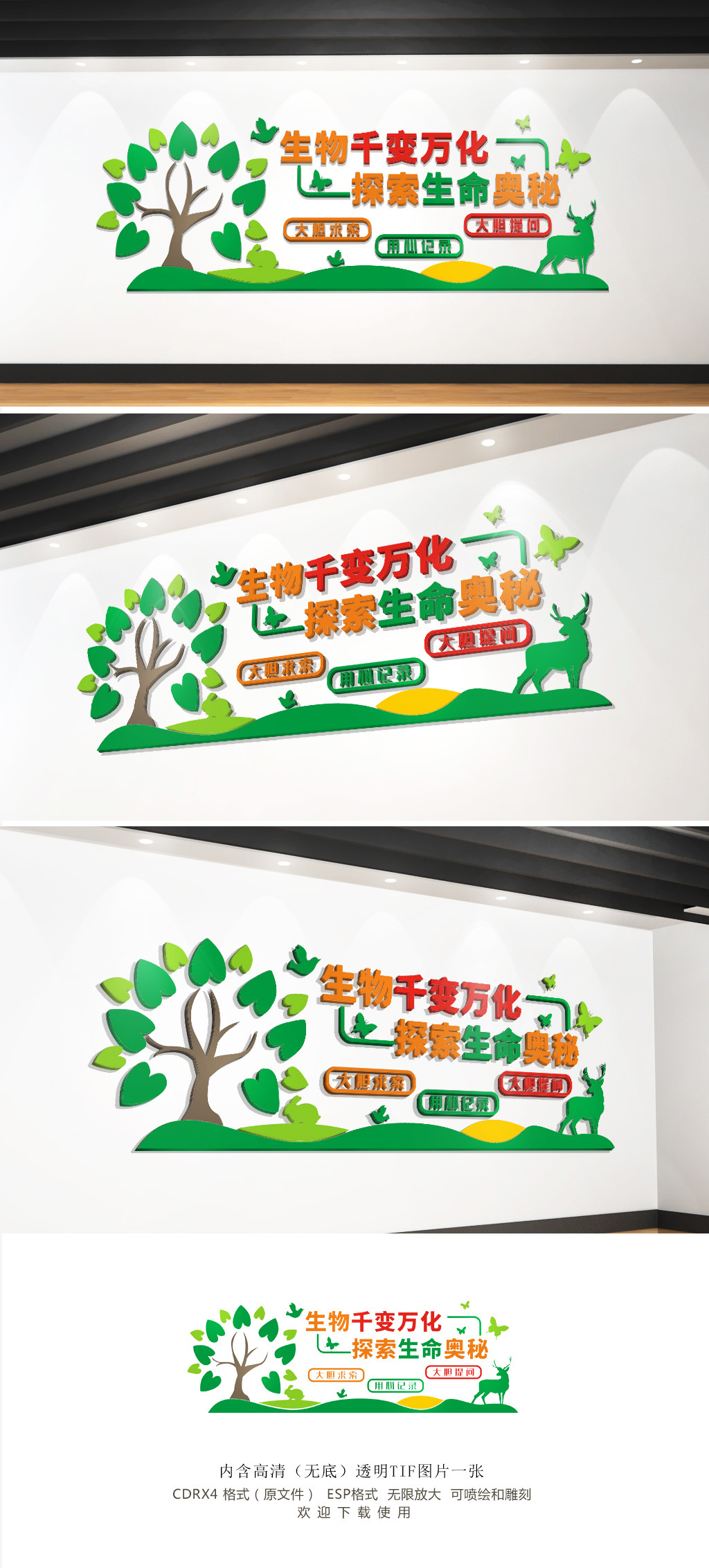 校园生物文化墙