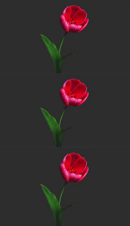 һ֧õ廨L`ţ͸ͨҕlز