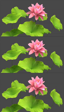 ɻ~L`ţ͸ͨҕlز