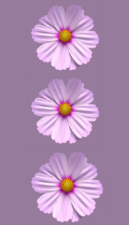 ÷`ţ͸ͨҕlز