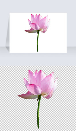 ɻ~ɏLЇLɻPNGز