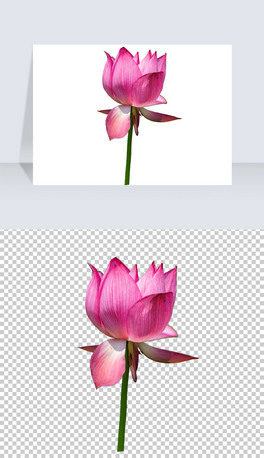 ɻ~ɏLЇLɻPNGز
