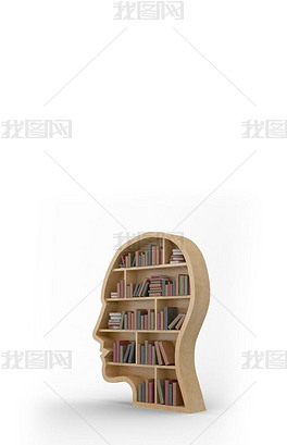 棕色人口_人口普查