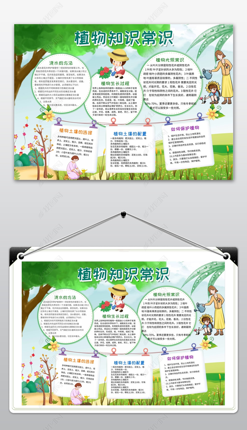 植物知识简介养植物小常识植物小报爱护植物小报儿童手抄报电子报模板