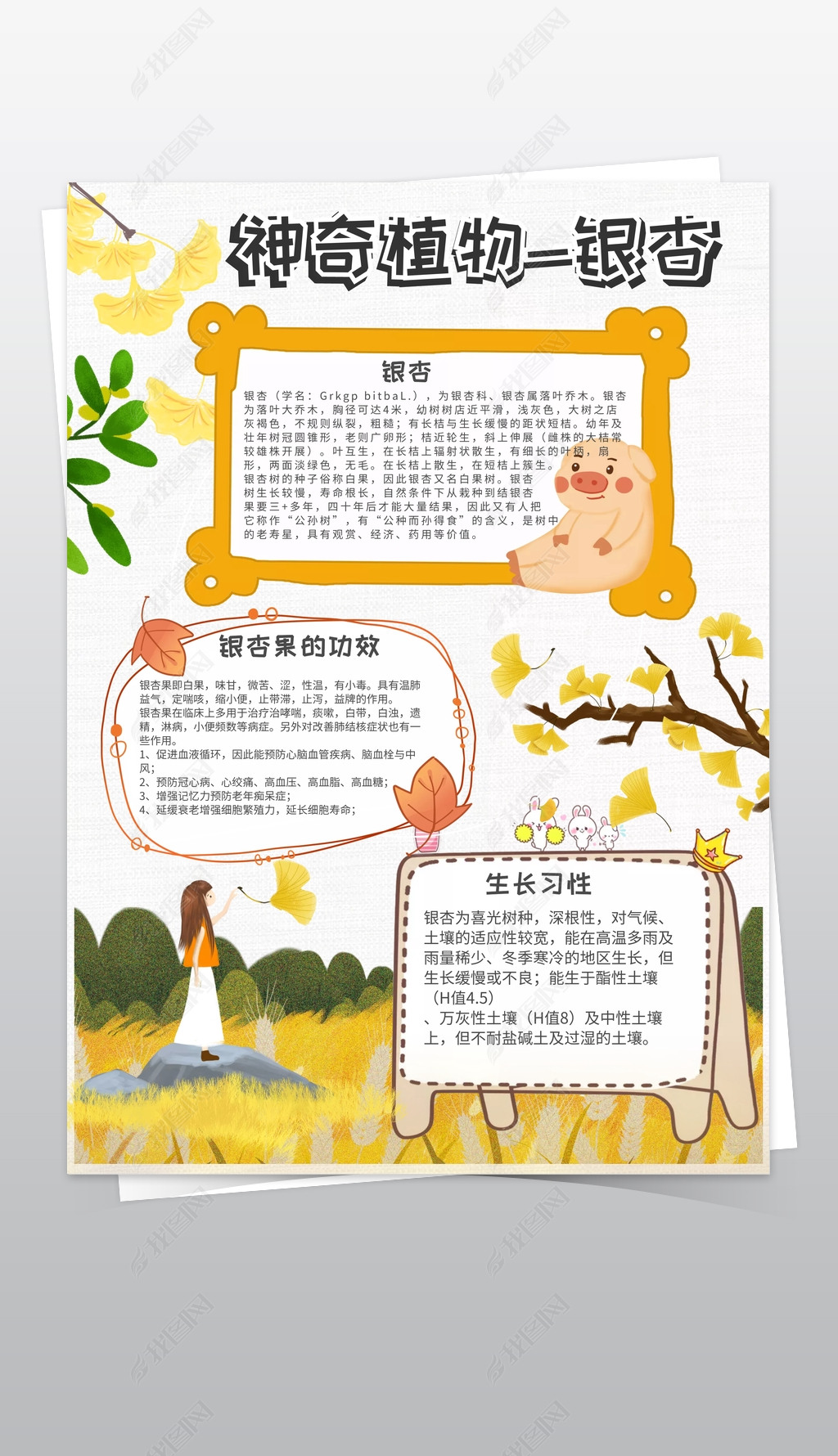 黄色卡通校园中的神奇植物银杏小报手抄报模板