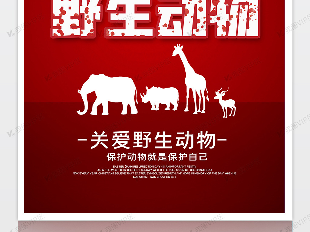 禁止捕杀野生动物海报