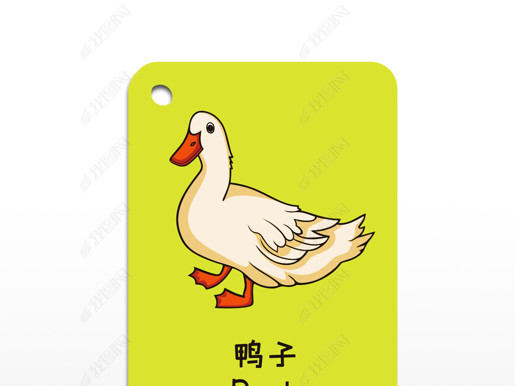 原创鸭子早教卡片英语卡片启蒙闪卡cdr矢量图版权可商用