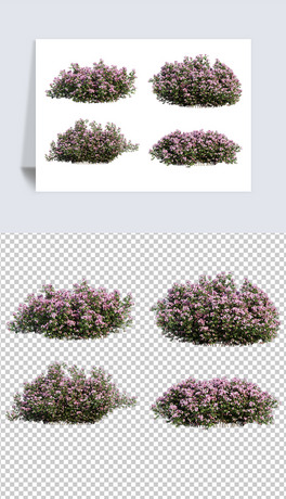 匍ʯľGֲGز