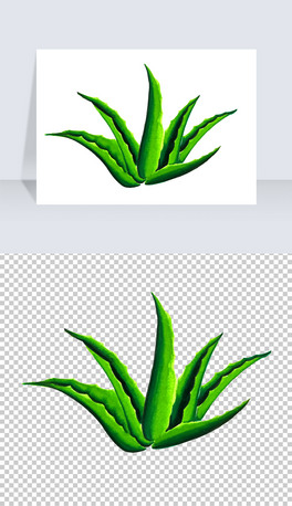 JCLGɫֲPNG