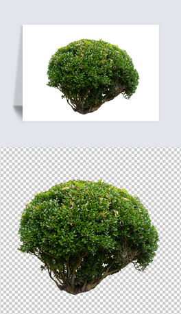 ԭ݅ľ@ˇֲpng⓸D-.psd