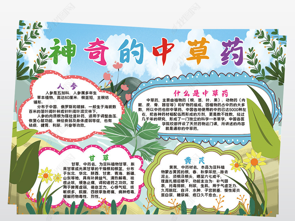 原创神奇的中草药小报模板认识中草药线描手抄报素材版权可商用
