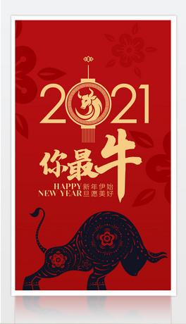 2021Ԫ꺣OӋţNPOPDOӋ