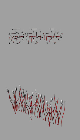 ˇg