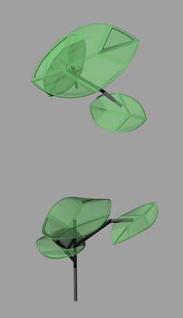 ˇg
