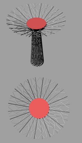 ˇg