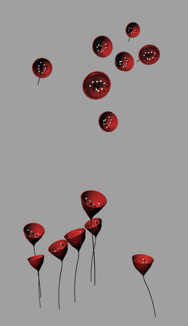 ˇg