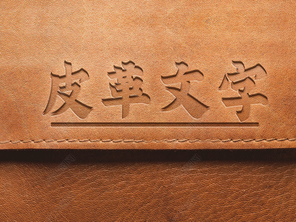 皮革烫印烫凹文字艺术字设计
