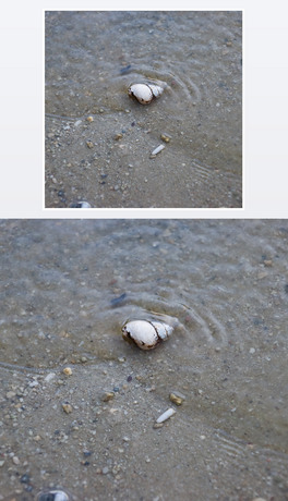 ɳϛ_ˢһֻªĺݺ󱳾