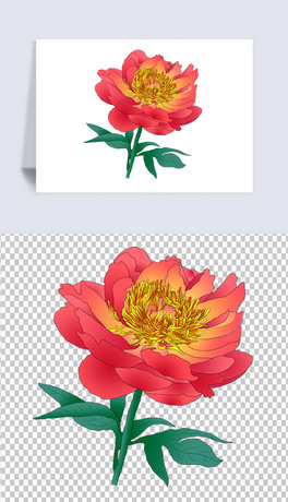 ĵ06