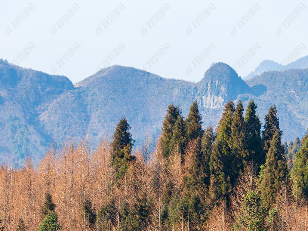原创重庆南川山王坪版权可商用