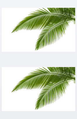 ؙ~