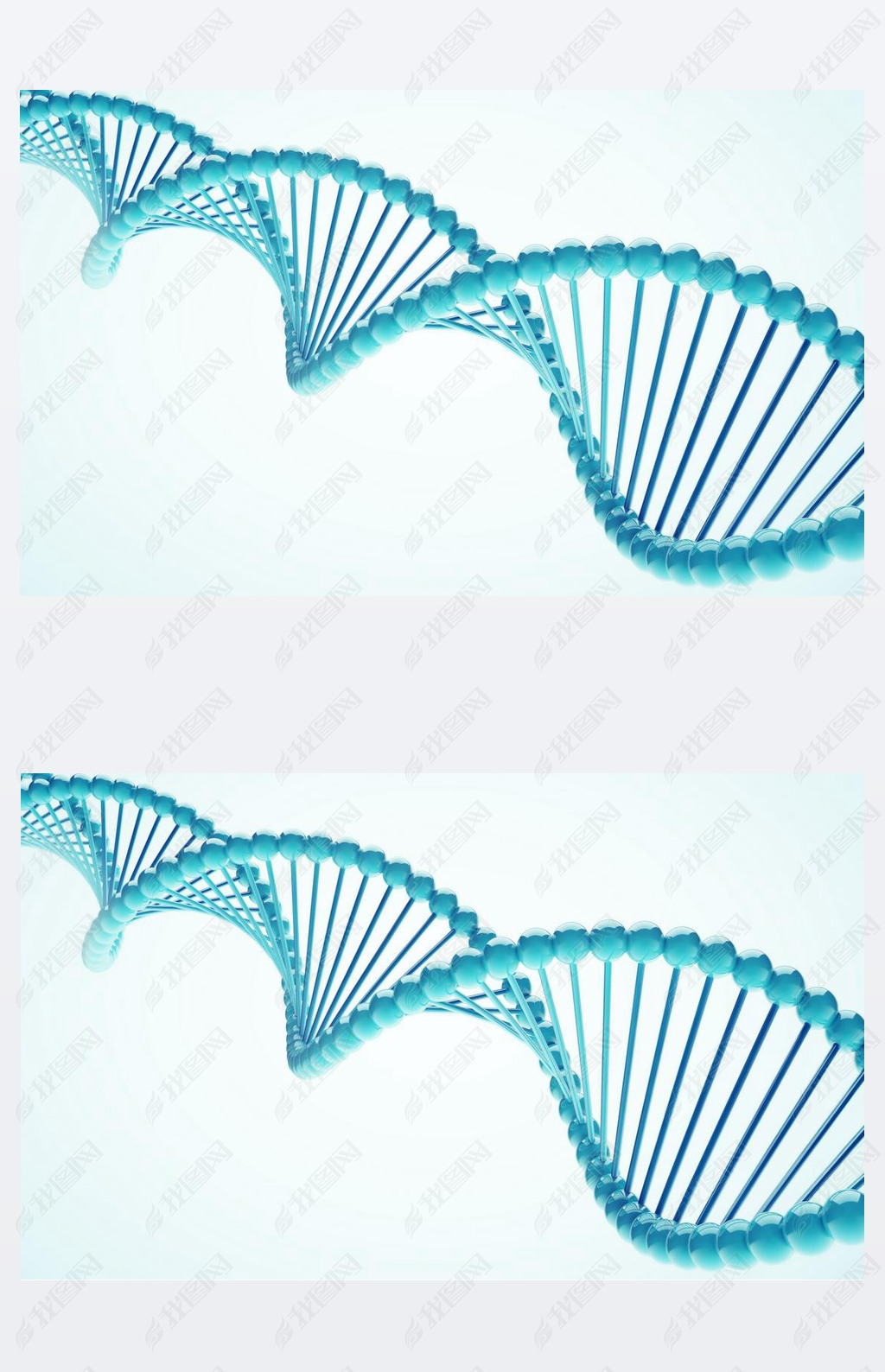 DNA Close-up