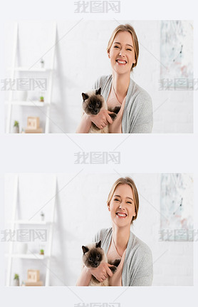 Positive woman holding siamese cat at home, banner 