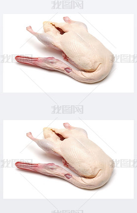 Raw whole duck 