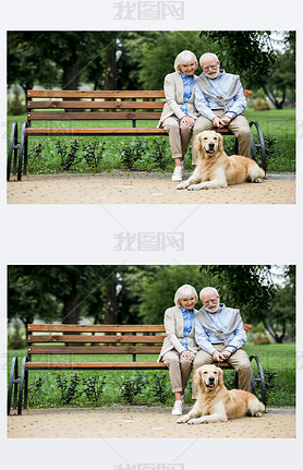 nice senior couple sitting on wooden bench and adorable dog lying nearby on ped sidewalk