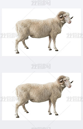 ɫ ram İɫ