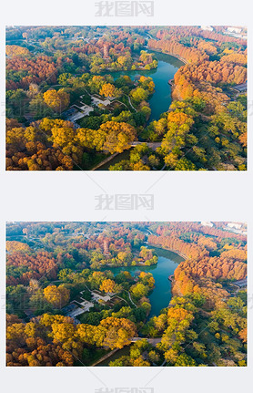 Aerial photography scenery of jiefang Park, Wuhan, Hubei in late autumn