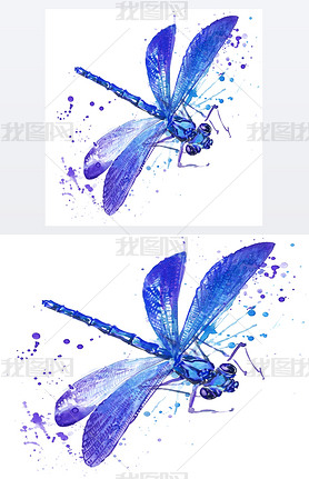 dragonfly  illustration with splash watercolor textured background. unusual illustration watercolor 