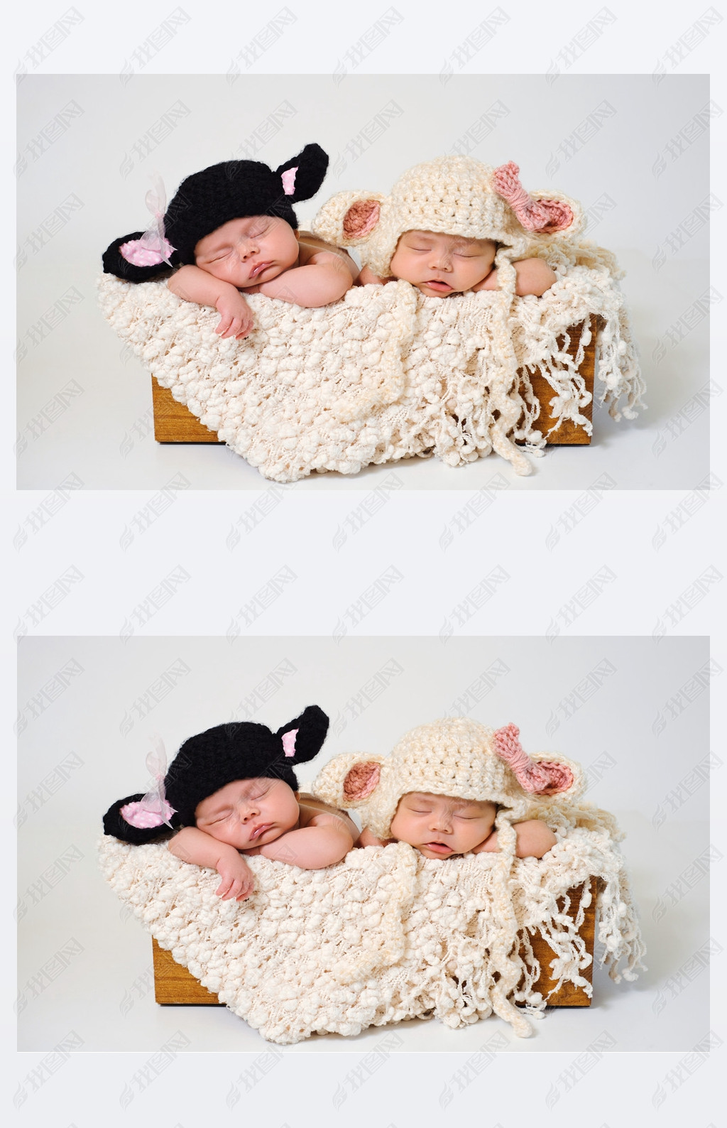 Newborn baby girls wearing black sheep and lamb hats.