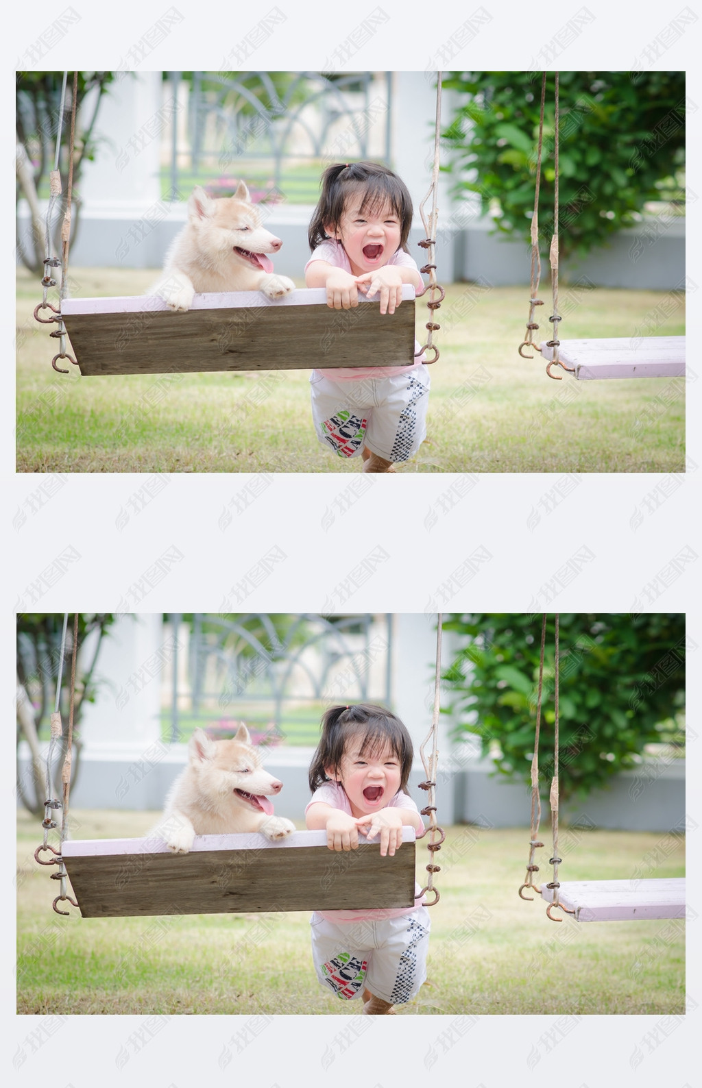 Asian baby  baby on swing with puppy