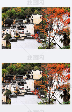 Hot peppers, corns, chrysanthemum flowers, and other crops and harvests are dried on roofs and racks